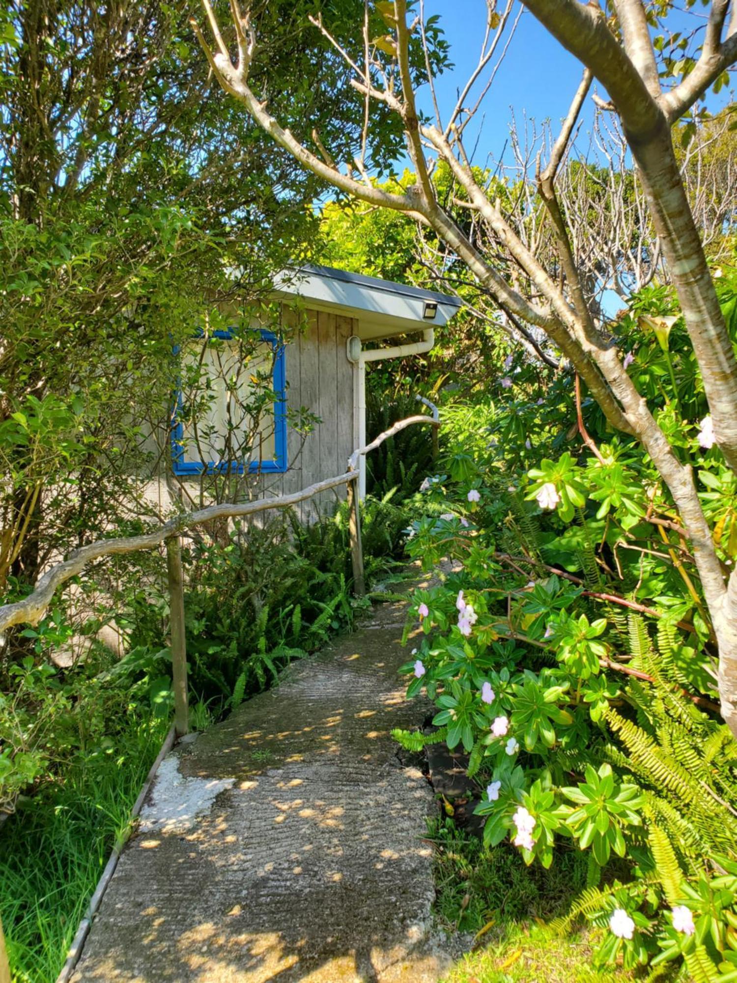 Rawhiti Cottage At Kaeppeli'S Kuaotunu ภายนอก รูปภาพ
